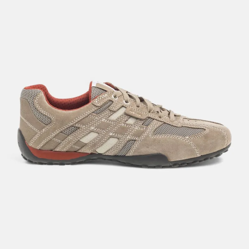 Baskets basses Homme beige