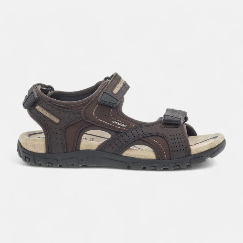 Sandales Homme marron